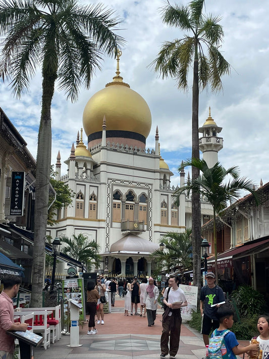 My First Visit to Singapore