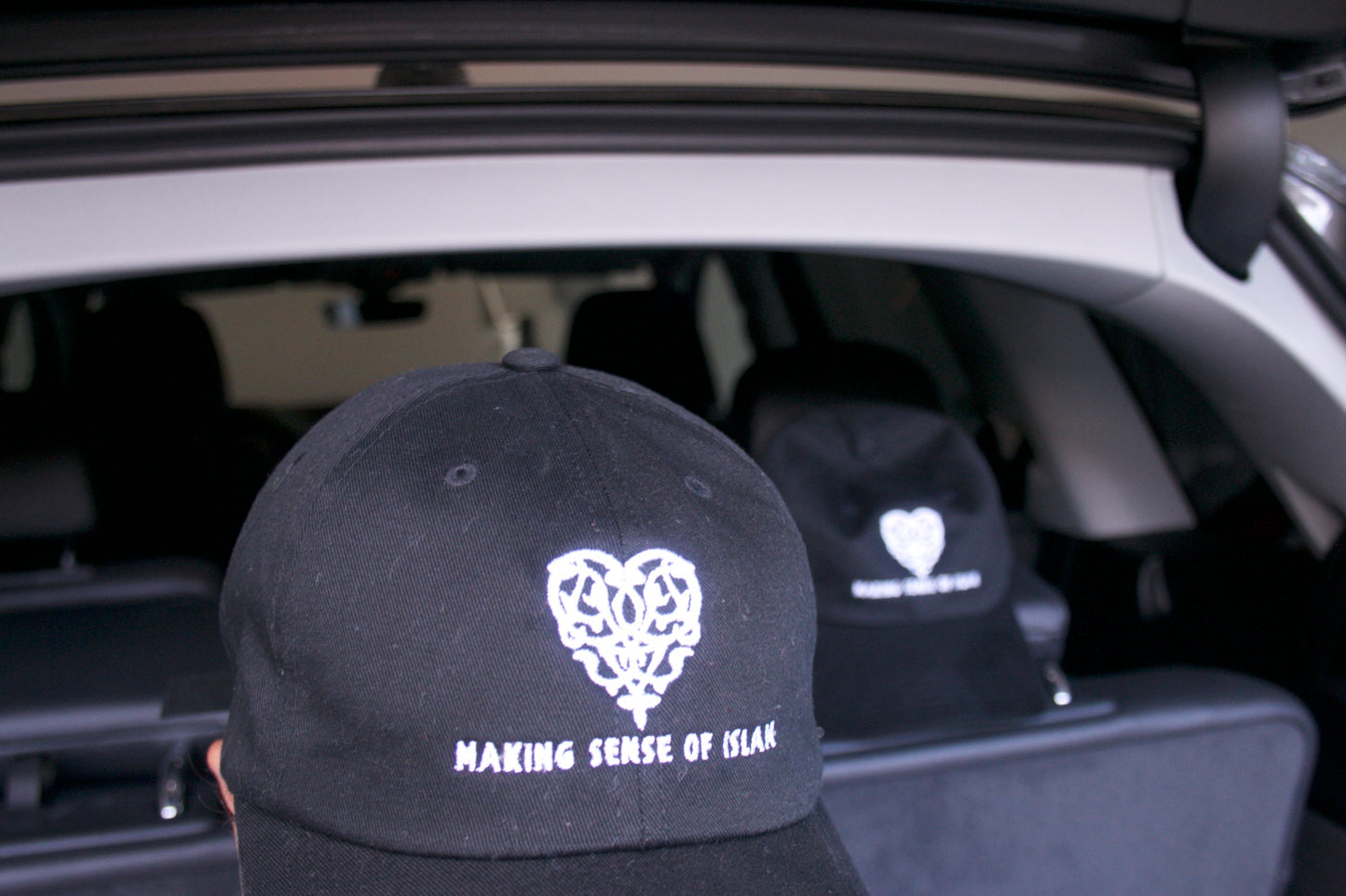 MSI Logo Hat