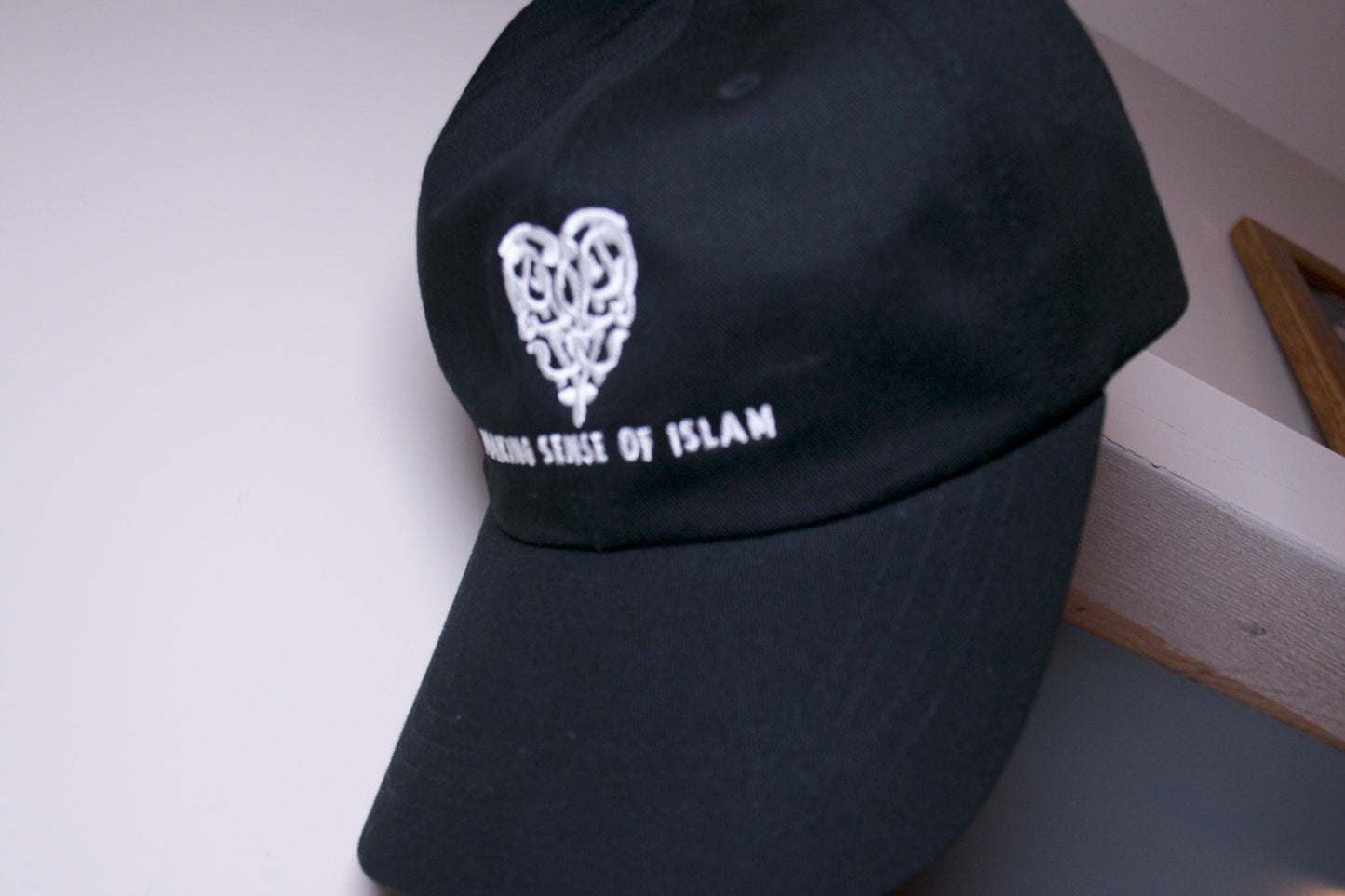 MSI Logo Hat