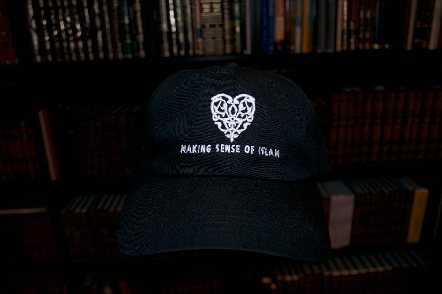 MSI Logo Hat